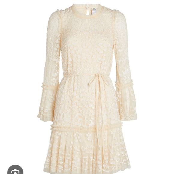 BHLDN needle and thread Annie sequined mini dress - Picture 7 of 16